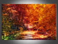 Podzim v lese 2 - upravená fotografie |  – fotoplakát 60 x 40 cm, – fotopanel 60 x 40 cm, – fotoplátno 60 x 40 cm